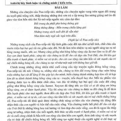 Những bài văn đạt giải học sinh giỏi cấp Tỉnh - Thành phố Toàn Quốc (THPT)(2025)(Dùng chung các bộ SGK)