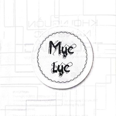 Khơi Nguồn Năng Lực Trực Giác - Intuition (VL)