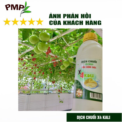 Combo 2 Chai Dịch Chuối Humic PMP Vi Sinh Chuyên Dùng Cho Hoa Hồng, Rau Sạch 1L/Chai