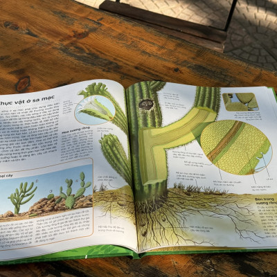 (Bìa cứng) HÀNH TRÌNH KHÁM PHÁ – THỰC VẬT_Gerald Legg & Steve Weston-  Hồng Nhung dịch- Tân Việt - NXB Mỹ Thuật