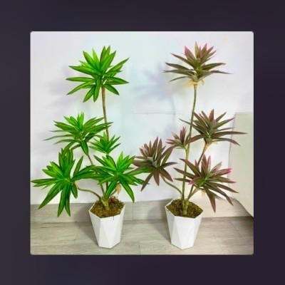 Bộ cây phát lộc giả 5 nhánh - Kích thước 80cm - Cây giả, hoa lụa Decor trang trí nhà cửa
