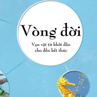 Vòng Đời - Life Cycles