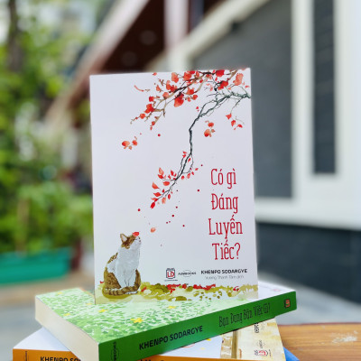 Combo Sách An Trú Trong Hiện Tại - Sách Phật Giáo, Nghệ Thuật, Văn Hóa Tác Giả Khenpo Sodargye ( Tặng ảnh Kinh Hạnh Phúc ) - Hiệu Sách Genbooks, bìa mềm, in màu