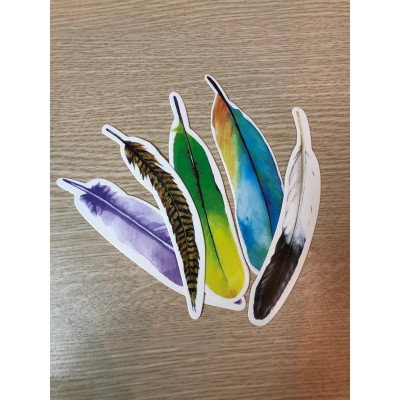 Sách - Common Core Math - Chinh Phục Toán Mỹ 5B - 1980 Books