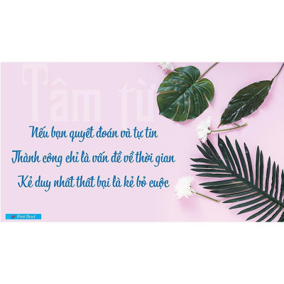 Sách - Tâm Từ - Mindfulness - First News