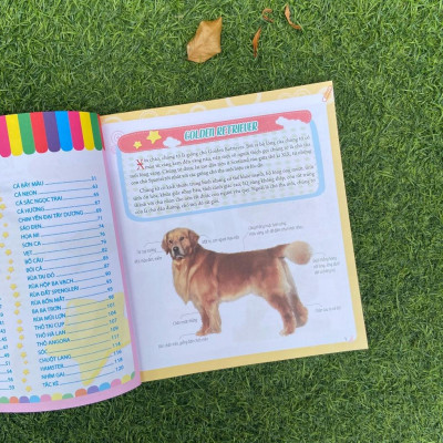 Sách: Bách Khoa Động Vật Dành Cho Trẻ Nhỏ - Thú Cưng - TSTN