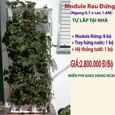 08 Chậu trồng rau thông minh Không thay đất Vertical (Màu Xanh) có tưới nhỏ giọt và bón phân Bán tự động nhập khẩu Bồ Đào Nha ( dành khu vực Không có vòi cấp)