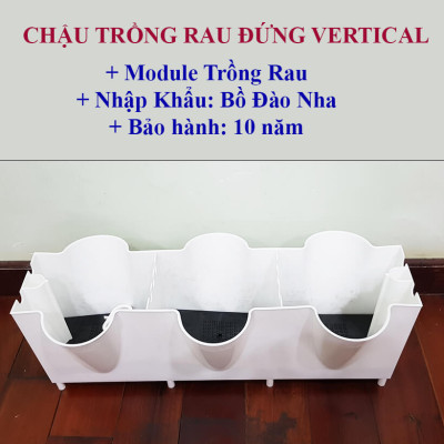 CHẬU TRỒNG RAU BAN CÔNG THẲNG ĐỨNG NÔNG NGHIỆP CÔNG NGHỆ CAO BỒ ĐÀO NHA