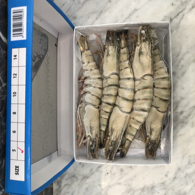 Tôm sú nguyên con sinh thái Seaprodex kích cỡ 5 con/hộp , 500gr