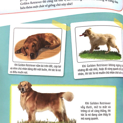 Bách Khoa Động Vật Dành Cho Trẻ Nhỏ - Thú Cưng