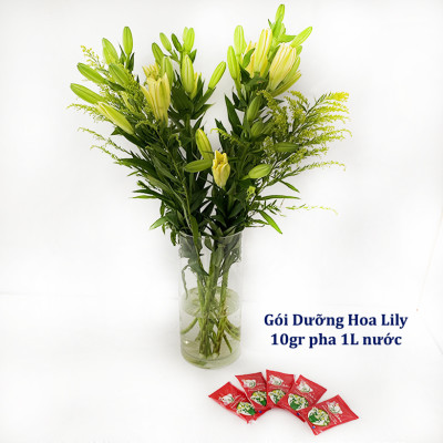Thuốc cắm hoa Lily lâu tàn nhập khẩu Israel (1 hộp 5 gói  pha 50L nước că) hiệu Longlife Bulbs Premium 2023 giúp hoa tulip và hoa lily tươi gấp 2 lần và 14 ngày không thay nước