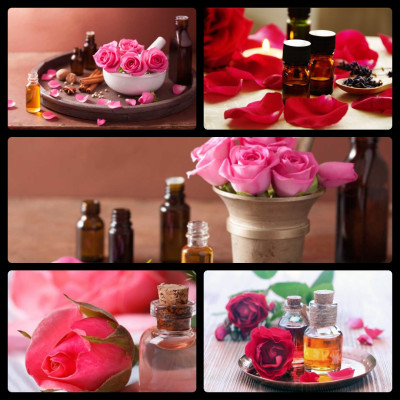 Tinh dầu hoa Hồng 50ml Mộc Mây - tinh dầu thiên nhiên nguyên chất 100% - chất lượng và mùi hương vượt trội