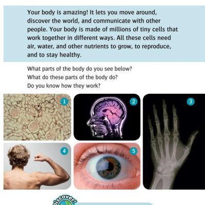 Oxford Read and Discover 6 Your Amazing Body