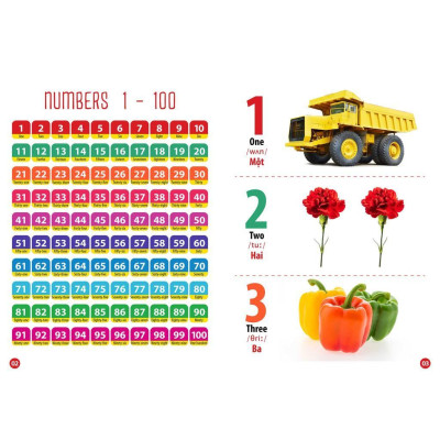 Sách - Từ Điển Bằng Hình - Chữ Cái Và Số Đếm - Song Ngữ Anh Việt - Việt Thư