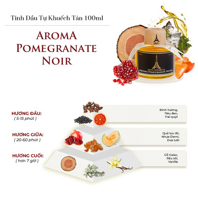 Pomegranate Noir - Tinh Dầu Thơm Phòng Que Gỗ, Nước Hoa Khuếch Tán Thiên Nhiên 100ml Cao Cấp, Sang Trọng