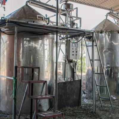 Tinh dầu Bạch Đàn Chanh 10ml Mộc Mây - tinh dầu thiên nhiên nguyên chất 100% - chất lượng và mùi hương vượt trội - Có kiểm định