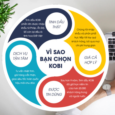 Combo tinh dầu xông phòng tinh dầu Bưởi Kobi + Quế Kobi(30ml) xông phòng ngủ, xịt thơm, khử mùi, kháng khuẩn giúp bạn thư giãn  