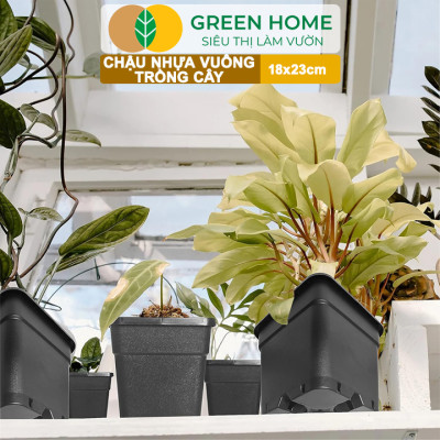 5 Chậu Vuông Trồng Cây Greenhome, Nhiều Kích Thước, Nhựa Cứng, Thoát Nước Tốt, Trồng Hoa, Kiểng Lá