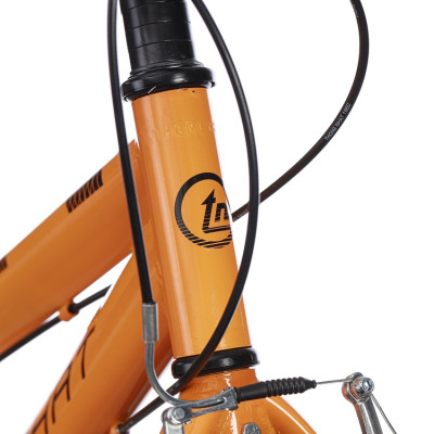 Xe đạp thể thao Thống Nhất GN06-26, 27 2.0 Pro có đề - Hàng chính hãng (Phù hợp với người cao từ 1m45 trở lên)