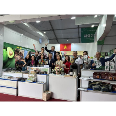 Combo 1 Hũ Mật Ong Cà Phê Jade Mountain Kết Tinh Tự Nhiên 380ml Và 1 Mật Ong Bánh Tổ Jade Mountain 500gr Nguyên Miếng Ngọt Nhẹ