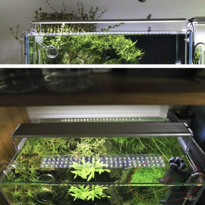 Đèn led Chihiros A 30, 35, 40, 45, 50, 60, 80, 90, 120 cm series A1 quang phổ bể thủy sinh cá tép bán cạn