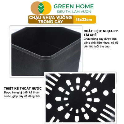 5 Chậu Vuông Trồng Cây Greenhome, Nhiều Kích Thước, Nhựa Cứng, Thoát Nước Tốt, Trồng Hoa, Kiểng Lá