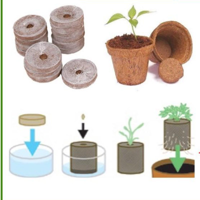 Viên nén xơ dừa Batrivina trồng cây, ươm hạt, ươm cây giống, trồng dâu tây