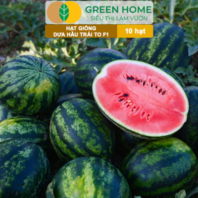 Hạt Giống Dưa Hấu Lai F1 Greenhome, Gói 10 Hạt, Dễ Trồng Quanh Năm, Nảy Mầm Cao, T26
