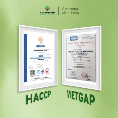 [TIẾT KIỆM] Combo 4 túi Nếp Cái Hoa Vàng Vinh Hiển - Tiết kiệm, siêu dẻo, thơm nhiều