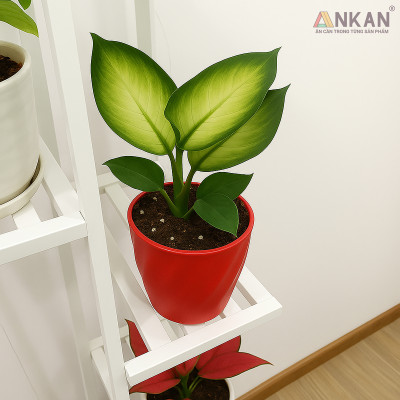 Chậu nhựa xoắn trồng cây ANKAN cho hoa hồng, cây cảnh mini, trồng rau, để bàn, treo ban công