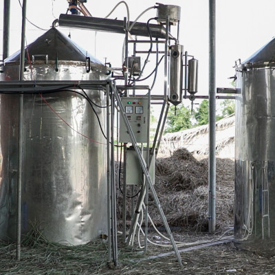 Tinh dầu Bưởi Chùm (bưởi Hồng, bưởi Úc) 100ml Mộc Mây - tinh dầu thiên nhiên nguyên chất 100% - chất lượng và mùi hương vượt trội