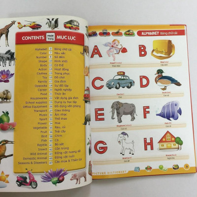 Từ Điển Anh Việt Bằng Hình (Tái Bản) - Bản Quyền