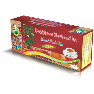 Trà Hà Thủ Ô Giúp Đen Tóc (Hộp 50 Túi Lọc X 2g) - Nguyên Thái Trang – Thảo Dược Thiên Nhiên – Tốt Cho Sức Khỏe 