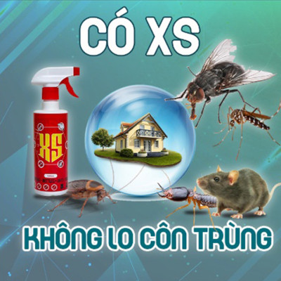 Chai Xịt Đuổi Chuột XS 500ML Xua Đuổi Chuột, Gián, Côn Trùng Nguồn Gốc Thảo Mộc- Xịt Đuổi Chuột, Côn Trùng, An Toàn & Hiệu Quả Cho Người Dùng