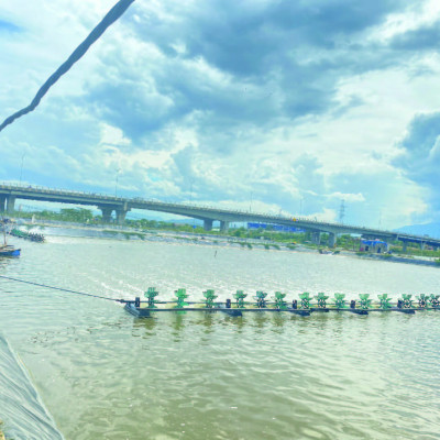 Vi sinh thế hệ mới COMBO AG New