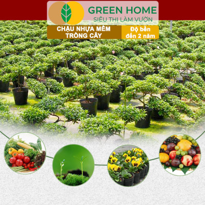Chậu Trồng Cây Greenhome, nhiều kích thước, Nhựa Mềm, Dẻo, Nhẹ, Trồng Cây, Bầu Ươm Cây Giống, Độ Bền Đến 2 Năm