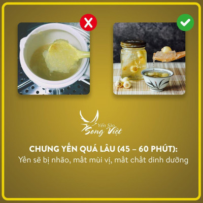 Yến Sào Song Việt - Combo Hộp giấy 3 hũ yến khô