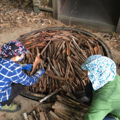 Tinh dầu Quế 10ml nguyên chất từ thiên nhiên - Mộc Mây