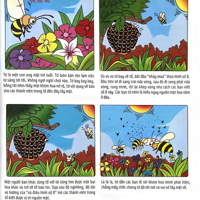 Bách Khoa Động Vật Dành Cho Trẻ Nhỏ - Côn Trùng