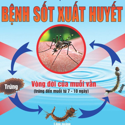 Thuốc diệt côn trùng trong nhà, diệt muỗi, không mùi dùng trong gia đình y tế Pekacon 100SC xuất xứ từ Mỹ