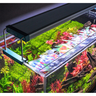 Đèn led Twinstar C Line III WRGB 200C, 300C, 450C, 600C, 900C, 1200C quang phổ cao cấp thủy sinh cá tép