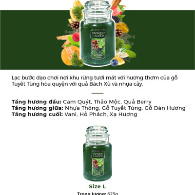 Nến hũ Yankee Candle size L - Balsam & Cedar (623g)