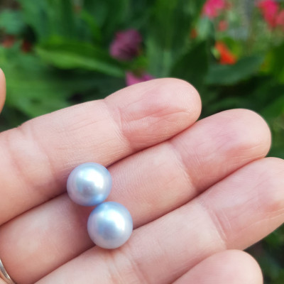 Đôi Bông Tai Ngọc Trai xanh dương nhẹ bóng đẹp 9mm  Size hạt 9mm ngọc trai cao cấp thiên nhiên mệnh Thủy Mộc   Nữ về bọc Vàng làm đôi bông tai vàng đeo cực kỳ xinh luôn ạ