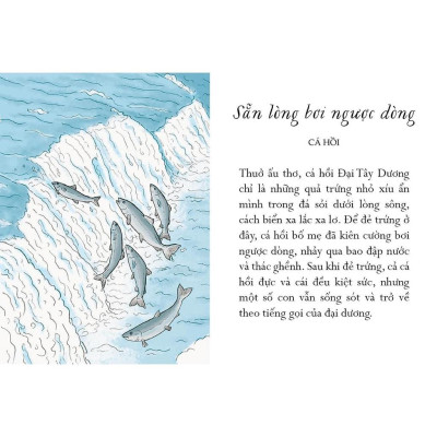 Sách - Sống Một Đời Tựa Biển Khơi - Những Bài Học Trí Tuệ Nhẹ Nhàng Sâu Lắng Của Đại Dương - NXB Kim Đồng
