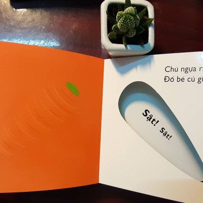 Combo 4 cuốn Ehon Nhật Bản Cùng chơi trốn tìm 4 Trang phục, Cùng chơi trốn tìm 5 Trái cây, Cùng chơi trốn tìm 6 Động vật, Cùng chơi trốn tìm 7 Rau củ