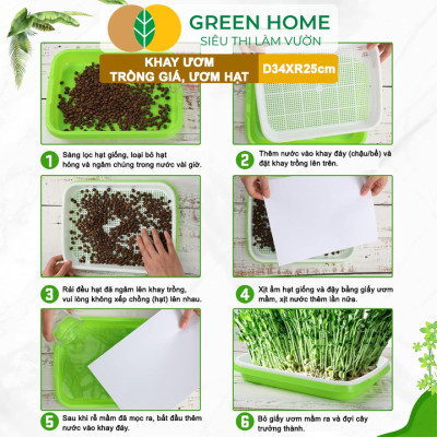 Khay Trồng Rau Greenhome, D34xR25xC5cm, Nhựa Nguyên Sinh, An Toàn, Chuyên Trồng Giá, Rau Mầm Tại Nhà, Không Cần Đất