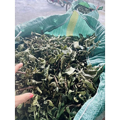 Trà cây xạ đen hòa bình ( Cây xạ đen khô ) - Hỗ trợ ưng thư, tiêu u thanh nhiệt cơ thể - Gói 1kg