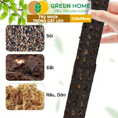 Trụ nhựa trồng cây, D20xR6cm, nhựa cứng, có khớp dễ nối dài, chuyên hệ cây leo, trầu bà, kiểng lá |Greenhome