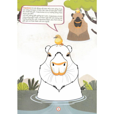 Sách - Bé Tô Màu Capybara + Kuromi - Combo 4 Cuốn - Hồng Ân