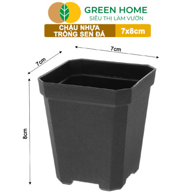 Bộ 10 Chậu Nhựa Trồng Sen Đá Greenhome, 7x8cm, Siêu Bền, Đẹp, Đa Năng, Trồng Mọi Loại Cây, Tiết Kiệm Không Gian